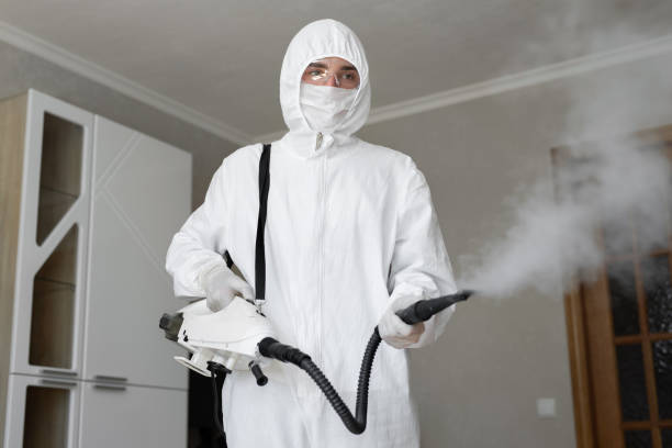 Mold Odor Removal Services in Ralston, NE